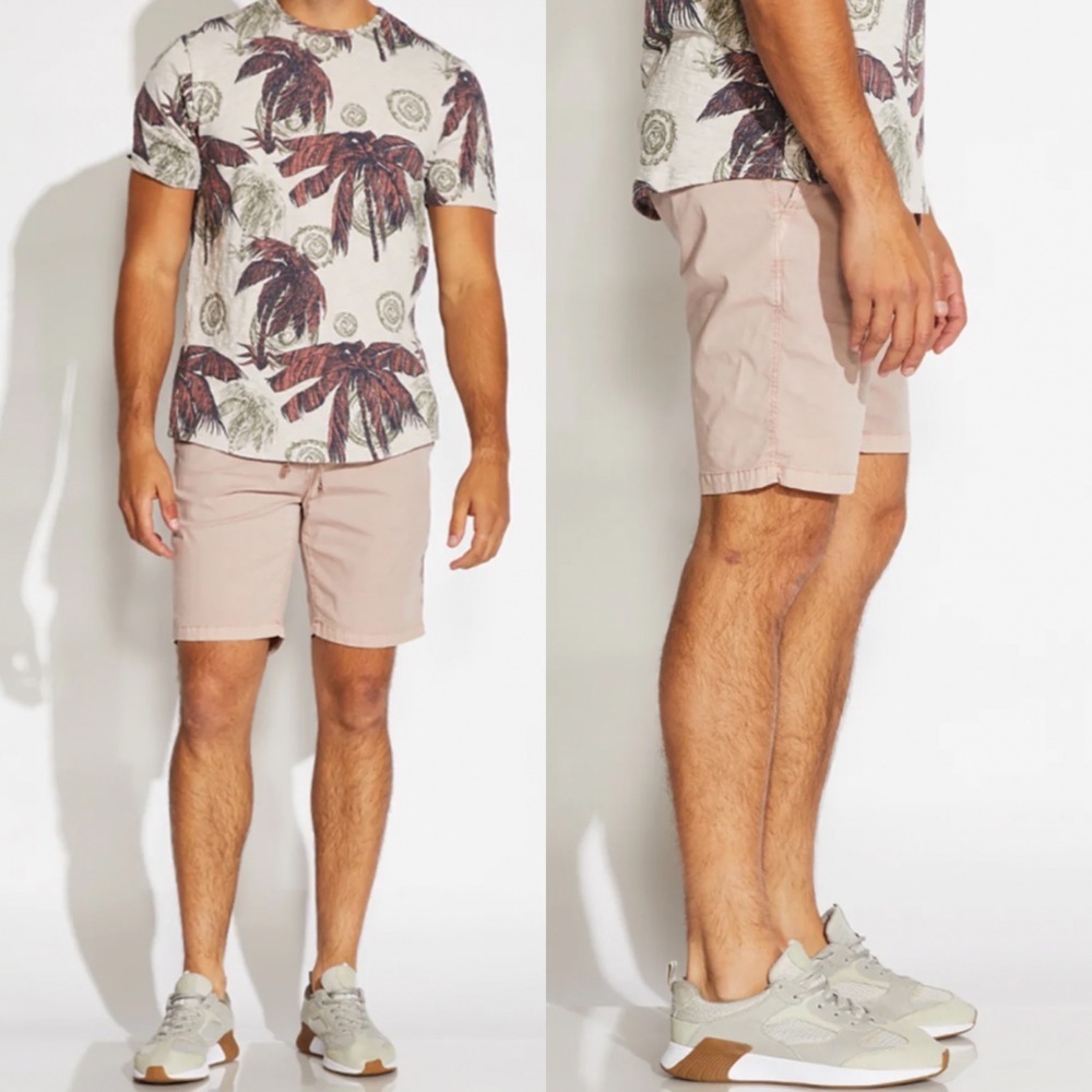 NEW Civil Society Campus Shorts Mauve Size 30‎ Nordstrom Ripstop Stretch Chino